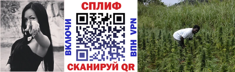 Виды наркоты Приволжск Канабис  ГАШ 