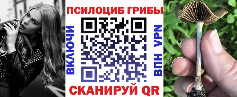 Галлюциногенные грибы GOLDEN TEACHER  Приволжск 